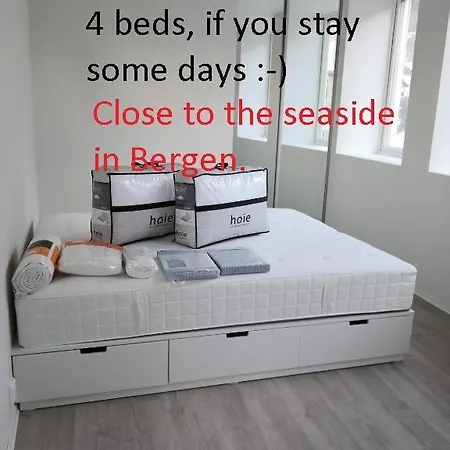 Toppleilighet I Damsgardsundet Appartement Bergen